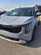 2025 Kia Carnival Hybrid EX