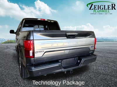 2019 Ford F-150 Platinum