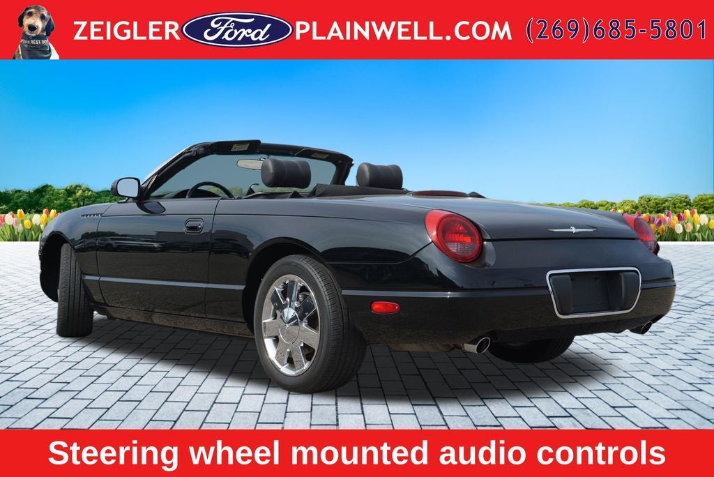 2002 Ford Thunderbird Base Convertible Hard and Soft Top Leather V8 Chrome Wh