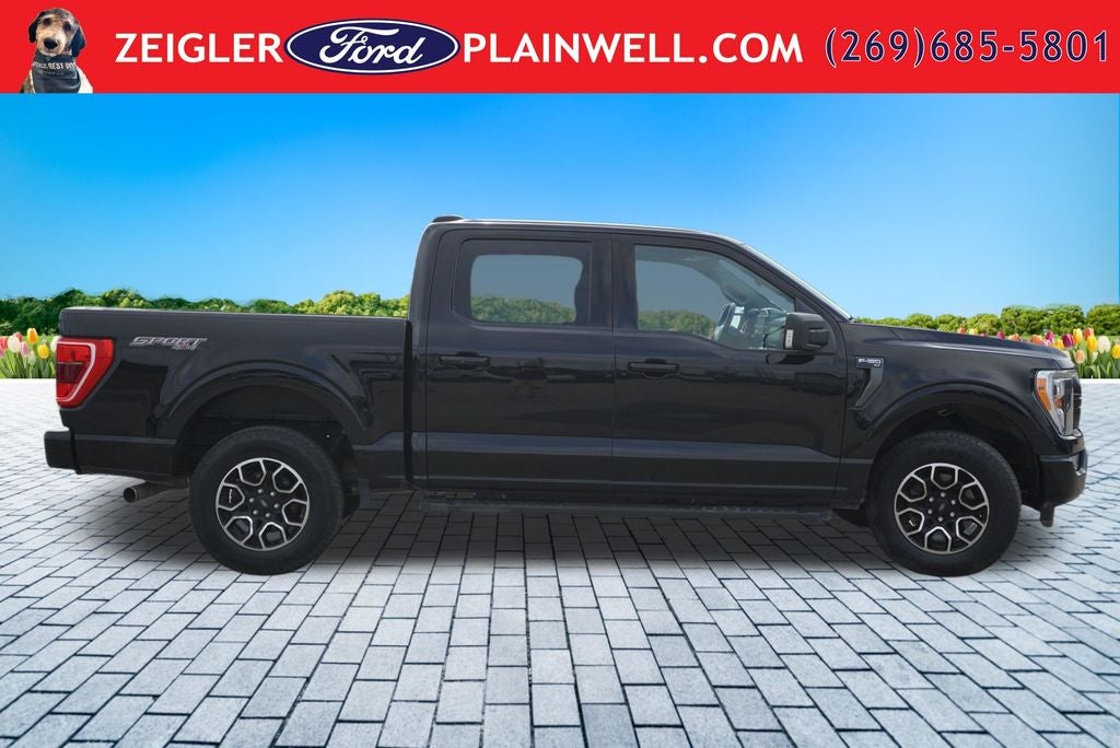 2023 Ford F-150 XLT 4x4 Black Sport Appearance Pkg Twin Panel Roof Tow