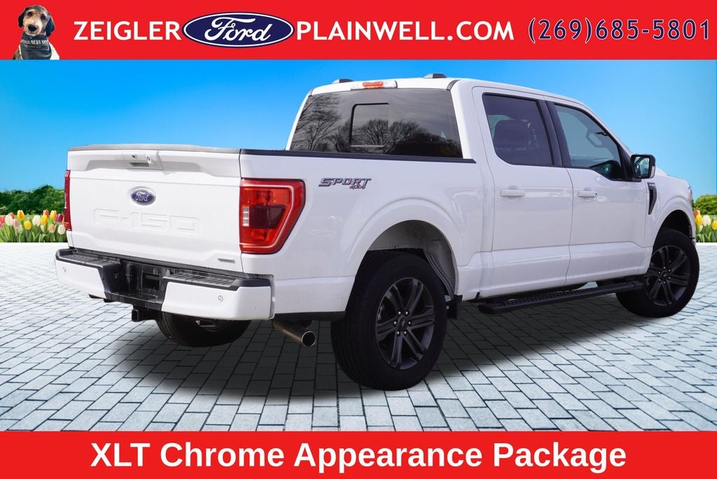 2023 Ford F-150 XLT 2.7L TWIN PANEL ROOF SPORT APPEARANCE PKG REAR SL