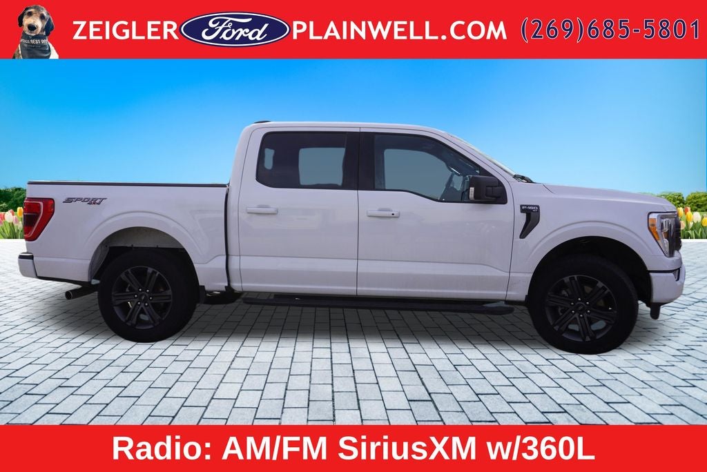 2023 Ford F-150 XLT 2.7L TWIN PANEL ROOF SPORT APPEARANCE PKG REAR SL