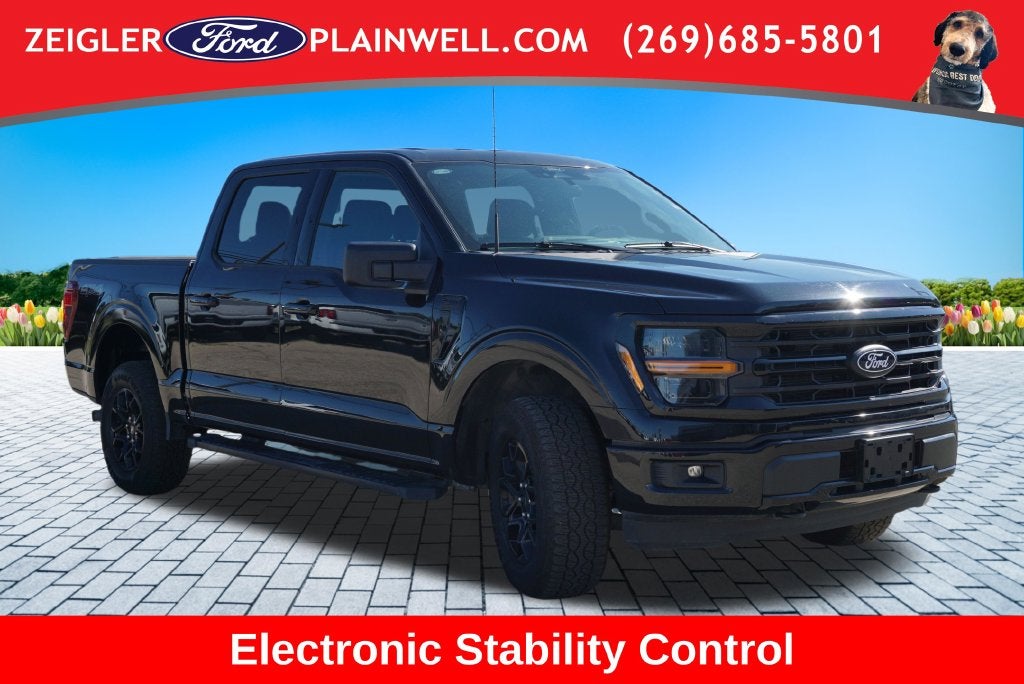 2025 Ford F-150 XLT Black Apoearance Pkg 3.5L Ecoboost Blis Rear Camer