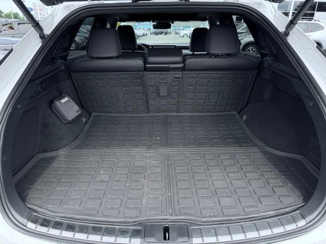 2024 Lexus RX Luxury