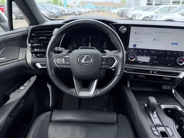 2024 Lexus RX Luxury