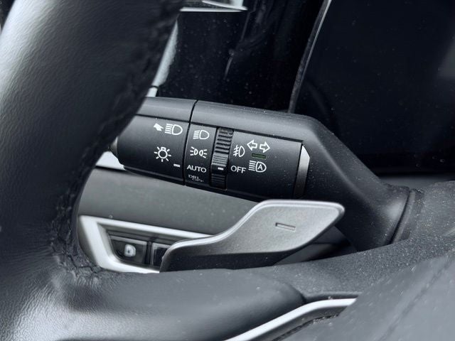 2024 Lexus RX Luxury