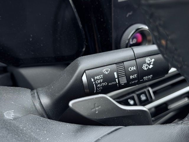 2024 Lexus RX Luxury