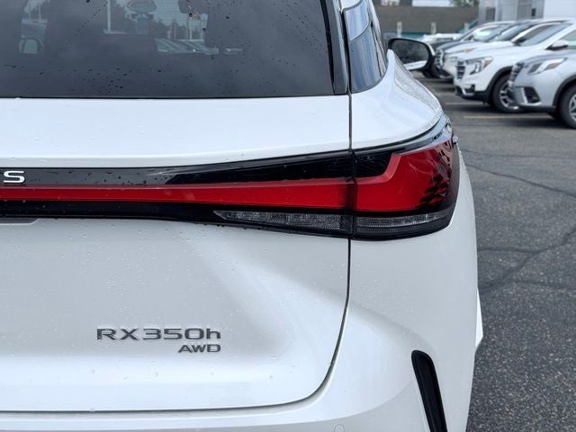 2024 Lexus RX Luxury